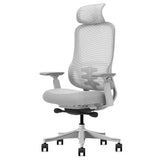 Lifespan Fitness DM8 Ergonomic Office Desk Chair V572-LFOC-DM8G