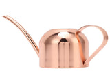 Watering Can for House Bonsai Garden Flower Outdoor Indoor Plants Long Spout Pot Stainless Steel V1294-YM0626-3111220315711