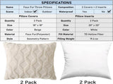 18" x 18" Decorative Throw with Inserts, Set of 2 Soft Faux Fur Throws, Square Boho V1258-DP02-C-3198