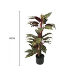 Artificial Wide Leaf Cordyline Plant 90cm V637-DP1151507