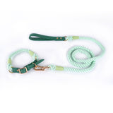 Premium Leather Pet Collar and Leash - Soft, Strong Braided Rope V888-ELOSUNG31094