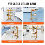 VEVOR 2 Tiers Stainless Steel Lab Carts with 2 Trays & 4 Silent Wheels Golden V952-SYSTCECKFYS4QES24V0