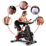 Powertrain IS-500 Heavy-Duty Exercise Spin Bike Electroplated - Black BKE-D20-BK