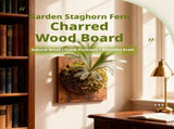 Fern Mounting Kit, 3 Sizes Rectangular Wall Planter, Natural Wood Vertical Plant Holder for Ferns V1366-AZ2-W-15175