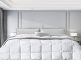 DreamZ 400GSM All Season Bamboo Winter Double DS1014-D-400