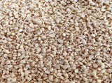 PurrHaven Bamboo Clumping Cat & Kitty Litter, 30kg 12 Pack,Dust Free,Natural Flusable,Easy to XFPH-CL-BM-GRX2