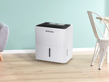 Dimplex Portable 12L Dehumidifier with Air Purifier in Black and White DC12DEPUR