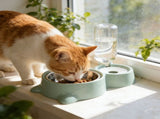 2 in 1 Stainless Steel Pet Bowl with Automatic Gravity Water Dispenser Food Grade Safe Anti Tip Over V1370-AZ4-09096