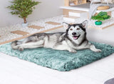 PaWz Dog Mat Pet Calming Bed Memory XL Green X-Large PT1139-XL-GN_NZ