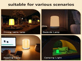 LED Night Light 7 Color Changing Smart Touch Control Bedside Table Lamp BT Remote Control 3600mAh V1294-YM0901-HS7008