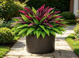 2 Pcs Plants,60x22cm Silk Dracaena Persian Leaf Bush,UV Resistant Artificial Greenery for V1369-AZ3-W-14827