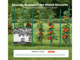 Garden Stakes, 25 Pack, 1800 mm, Plastic Coated Metal Tomato Stakes, Garden Sticks for Plants V952-ZWZCHYZ18M118QM4M001V0