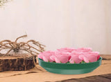 HOOWIFFY Green Plastic Flower Arrangement Plates 5.7 x 5.7 x 1.6 Inches Floral Craft Supplies for V1189-WXFWAL-20260326-02448