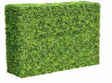 Large Portable Mixed Boxwood Hedge 1.5m by 1.5m UV Resistant V637-DP1012231