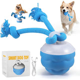 Interactive Smart Pet Puppy Ball with Ropes, Automatic Motion Activated Rolling Ball for Medium V1366-AZ2-W-10720