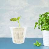 4-Pack Heavy Duty White Plastic Hydroponic Net Pots for Indoor Gardening and Soil-Free Plant Growing V1369-AZ3-W-16794