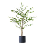 SOGA 150cm Green Artificial Indoor Watercress Tree Fake Plant Simulation Decorative APLANTFHSC1503