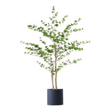 SOGA 150cm Green Artificial Indoor Watercress Tree Fake Plant Simulation Decorative APLANTFHSC1503