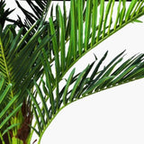 180cm Phoenix Palm - Artificial Plant, Home Decor Flora V915-MB0044