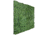 Boxwood Hedge Screen Green Wall Panel UV Resistant 100cm x 100cm V637-DP1000500