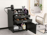 Artiss Professional Salon Station Rolling Cart, Hair Styling Beauty Cabinet with 2 Drawers & 2 FUR-AD-SAL-01-BK