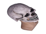 Scary Skull Mask with Movable Jaw Flexible Latex Halloween Costume Party Props Cosplay AccessoryDark V1294-YM0714-3117210187712