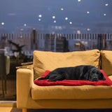 High-quality moisture-proof thick portable camping dog bed suitable for medium / large / small dogs V1232-GGLYC003