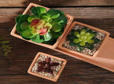 Set of 5 Terracotta Clay Flower Pots, Mini Thickened Plant Nursery Containers for Indoor and Outdoor V1370-AZ4-09983