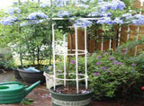Assembled Umbrella Flower Stand Climbing Vine Plant Easy to Install Garden Plant Support V1294-YM0716-230111QY05-2