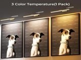 Wireless Picture Lights for Wall, Battery Operated Wall Light for Painting Rechargeable CCT V1171-CB-BOM000970