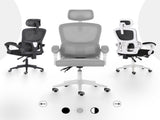 Ergonomic Reclining Office Chair - Lumbar Support, Adjustable Headrest VELTRA - GREY V274-FT-OC-2656B-WHGY