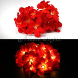 1 Set of 20 LED Deep Red Frangipani Flower Battery String Lights Christmas Gift Home Wedding Party V382-REDFRANGIBATT20
