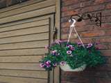 3 Leaves Style Metal Hanging Plant Brackets 12 inches x 7.5 inches,Pack of 2,Wall Mount Plant V1366-AZ2-W-24461