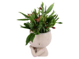 Face Flower Pot Head Planter Pot Succulent Planter Cute Resin Cactus Planter with Closed Eyes Indoor V1294-YM0710-3111230269011