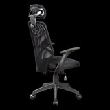 Ergonomic Mesh Office Chair V63-771915