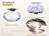 Crystal Purple Daisy Figurines, Crystal Flowers Daisy Decor, Small Paperweight Ornament with Present V1192-AZ-W-18399