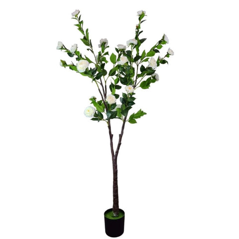 Flowering Natural White Artificial Camellia Tree 180cm V77-1157902N