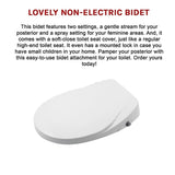 Non Electric Bidet Toilet Seat W/ Cover Bathroom Spray Water Wash V63-836441