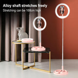 11 Inch Beauty Selfie Light With Desktop Bracket For Live Broadcast And Floor Use - Black V562-A109399100ADE