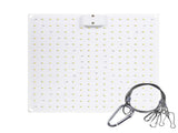 LED Plant Lamp 50W Full Spectrum Plant Grow Light High Brightness Succulent Fill Light for V1294-YM0901-L6913UK-2