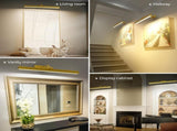 Wall Picture Light, 24in-Powered Gallery Light for Artwork, CCT Dimmable Rechargeable V1171-CB-TR-GPL-1-USB-RM-60CM