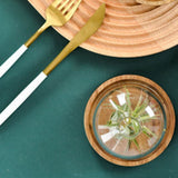 3X Multifunctional Mini Dessert Serving Stand Cake Dish with Dome Lid Platter Cake Plate for Home V1366-AZ2-W-15712