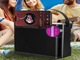 Portable Bluetooth 5.3 Speaker with 2 Wireless Microphones Home Karaoke Speaker Machine Black V1263-JX-6972-1