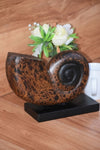 Decorative hand carved wooden shell on stand V277-DHCWS