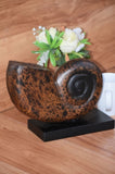 Decorative hand carved wooden shell on stand V277-DHCWS