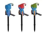 Three Color Solar Powered Parrot Garden Stake Lights - Hand-Painted Waterproof Resin LED Landscape V888-ELOSUNG46185