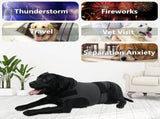 Dog Jacket, Skin-Friendly Dog Calming Vest - Dog Shirt for Thunder, Fireworks and Separation - Keep V1189-WXFWAL-20260319-01200