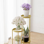 SOGA 2 Layer 50cm Gold Metal Plant Stand Flower Pot Holder Corner Shelving Rack Indoor Display FPOTH50GLD