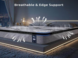 Levitex Queen Mattress 34 cm 5-Zone Pocket Spring with Latex & Memory Foam or Extra Lumbar & MATTRESS-LV-VELA-34-Q
