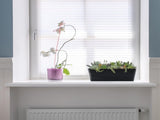 Flower pots - Balcony plant pot/flower pot - Railing/fence - Garden - rectangle - flower boxes - 3 V1188-MS101-02101-1